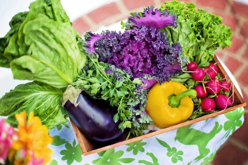 Vegetable Garden