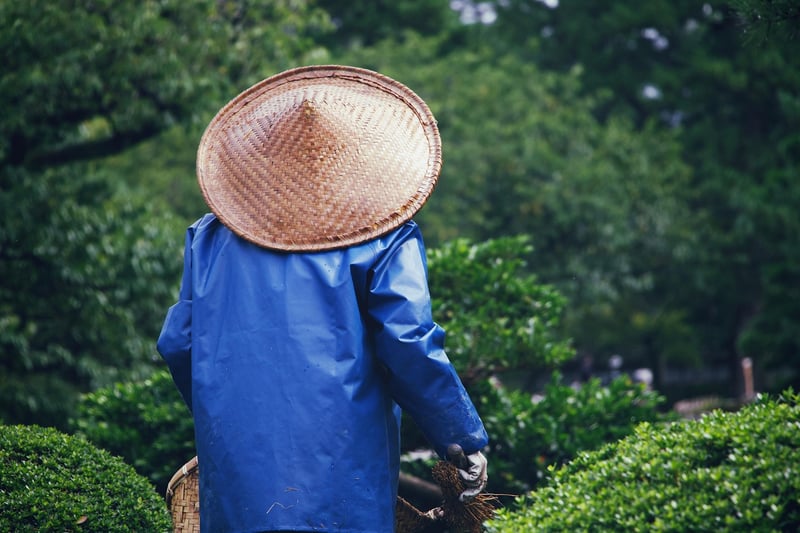 Gardening